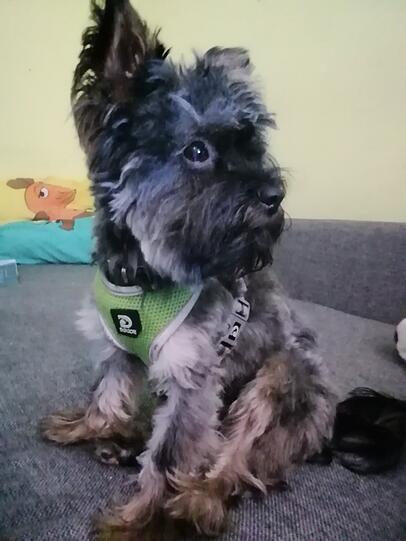 Egon