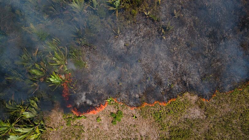 Flammen breiten sich in einem Amazonas-Gebiet aus. (Archivbild)