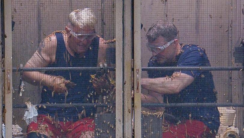 Ein seltener Moment in Action bei der Dschungelpr&uuml;fung: Normalerweise chillen Hubert Fella (l.) und Hardy Kr&uuml;ger lieber.