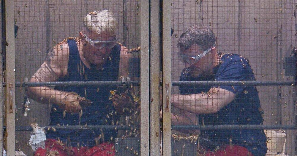 Zu-faul-im-Dschungelcamp-Das-empfiehlt-Dr-Bob-Hubert-und-Hardy