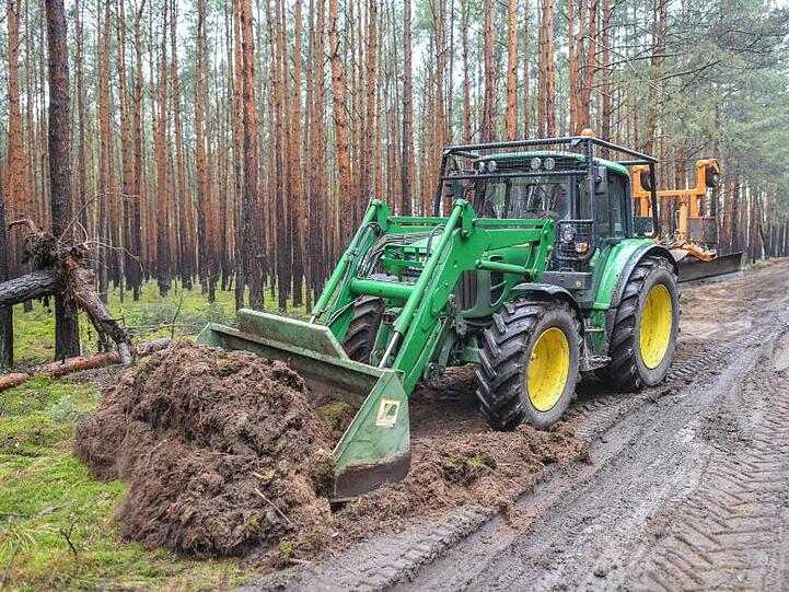 Ein Traktor vom Landesbetrieb Forst Brandenburg arbeitet an der Erschließung eines Waldweges auf dem künftigen Gelände der Tesla-Gigafactory.