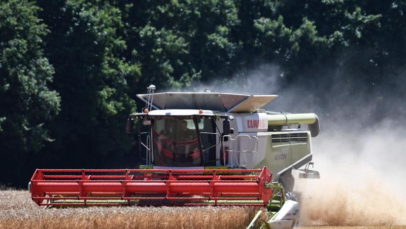 Im Vergleich zur "Missernte" im vergangenen Jahr stieg das Ertragsniveau der Bauern wieder - aber nur leicht. Im Vergleich zur "Missernte" im vergangenen Jahr stieg das Ertragsniveau der Bauern wieder - aber nur leicht.