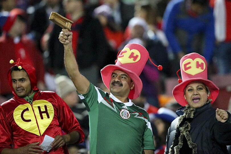 Die verrückten Bilder der Fans bei der Copa America 2015.
