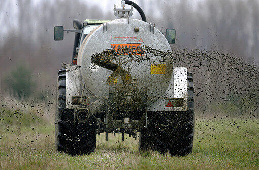 Eigentlich gehört die Ladung des Landwirts aufs Feld, keinesfalls in Dörfer! (Symbolbild)