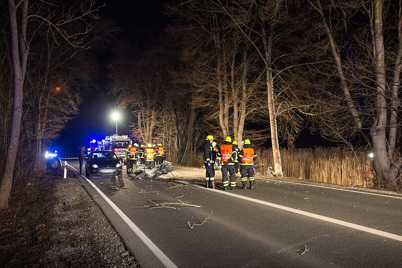 Der Fahrer krachte am Samstagabend mit seinem Suzuki in einen Baum. Er verstarb noch an der Unfallstelle.