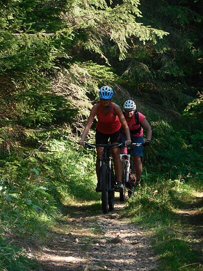 Bike-Neulinge können befestigte Waldwege und Forststraßen nutzen.