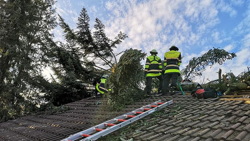 Die Münchner Feuerwehr hatte es am Montag mit zahlreichen umgeknickten Bäumen zu tun.
