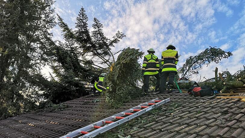 Die Münchner Feuerwehr hatte es am Montag mit zahlreichen umgeknickten Bäumen zu tun. Die Münchner Feuerwehr hatte es am Montag mit zahlreichen umgeknickten Bäumen zu tun.