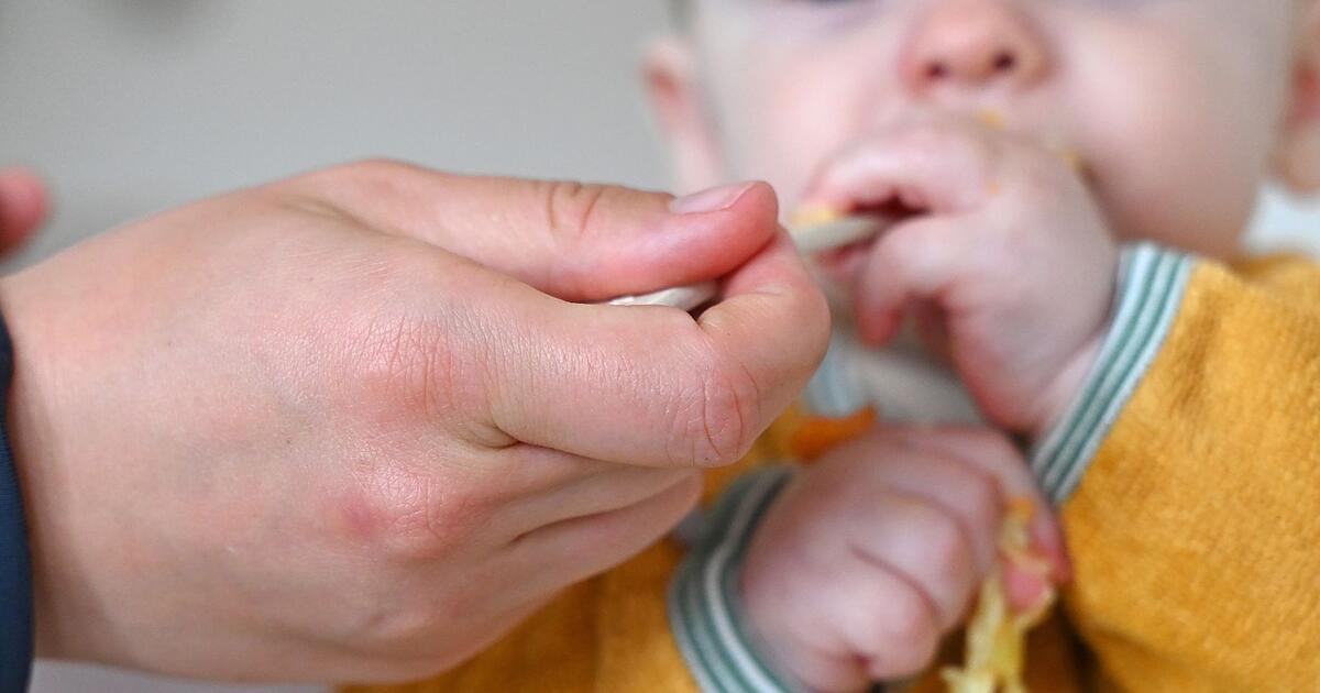 Ein-politischer-Papa-k-mpft-gegen-das-Kinderstartgeld-Aus