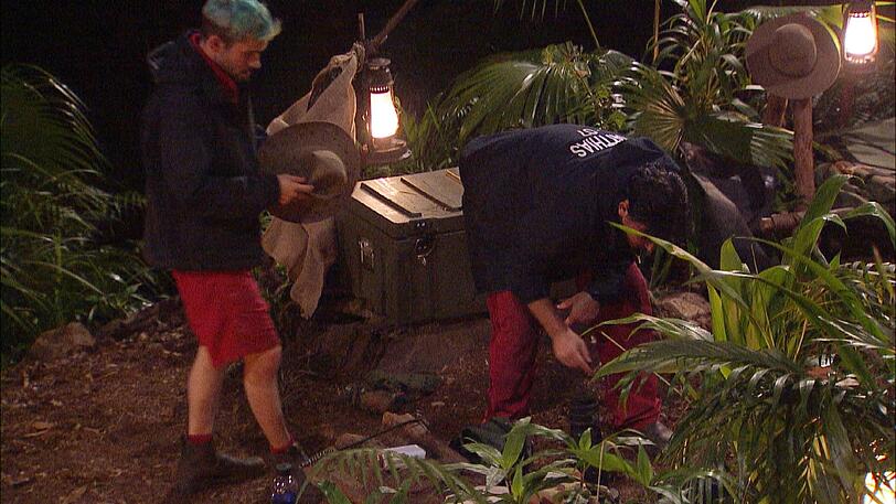 Matthias Mangiapane und Daniele Negroni entdeckten die große schwarze Spinne