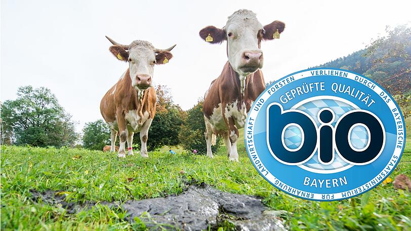 Ökosiegel - Verbraucher sind überfordert