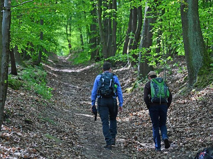 Zwei Männer wandern durch den Wald. Foto: Martin Schutt/dpa-Zentralbild/dpa/Symbolbild
