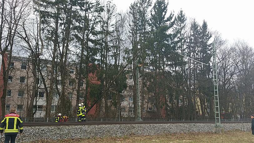 Auf der Strecke S3 Richtung Mammendorf fiel aufgrund von Sturm Niklas ein Baum in die Oberleitung. Die Bilder.