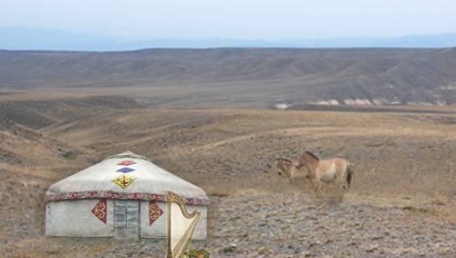 Sollen in Kasachstan ausgewildert werden: zwei Münchner Przewalski-Pferde. Sollen in Kasachstan ausgewildert werden: zwei Münchner Przewalski-Pferde.