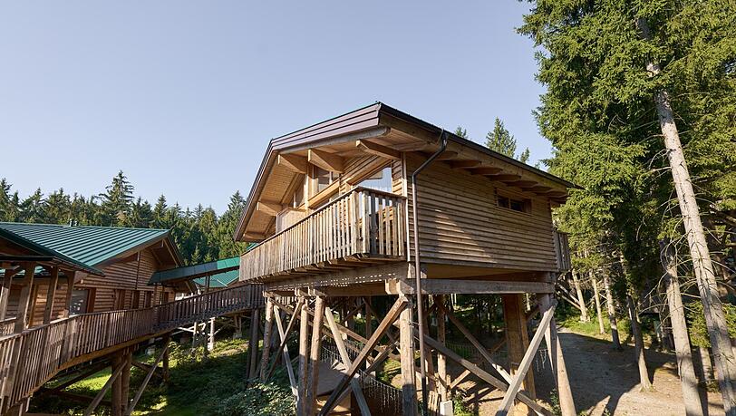 Das Baumhotel mit 21 Baumh&auml;usern &ndash; die schweben hoch &uuml;ber dem Boden.