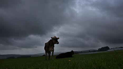 Am Dienstag soll es viel Regen und einzelne Gewitter geben. (Archivbild)