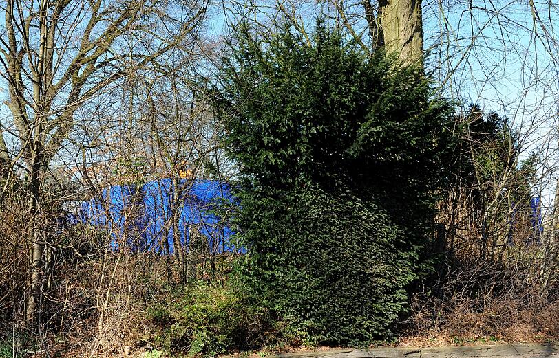Friedhof in Ganderkesee: Acht Leichen werden exhumiert. Gibt es noch mehr Opfer von Niels H.? Der Krankenpfleger hat immer wieder Patienten totgespritzt.