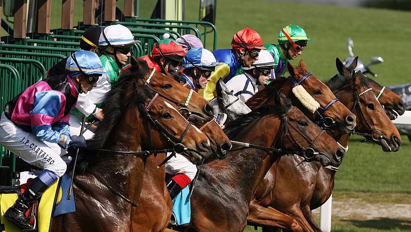 Los geht's! Am Sonntag ist Aufgalopp in Riem. Los geht's! Am Sonntag ist Aufgalopp in Riem.
