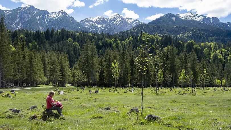 Rast mit Bergblick - einfach nur schön! Drie Hütten-Touren in den bayerischen Hausbergen. Rast mit Bergblick - einfach nur schön! Drie Hütten-Touren in den bayerischen Hausbergen.