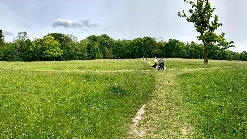 Stille Weite: In den Nordteil des Englischen Gartens verirren sich nurwenige Spaziergänger oder Radler.