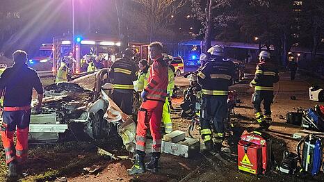 Rund 30 Einsatzkr&auml;fte waren im Einsatz, nachdem zwei M&auml;nner (18 udn 20) mit ihrem Jaguar in einen Baum gekracht sind.