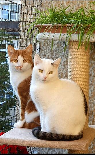 Pauli und Flecki