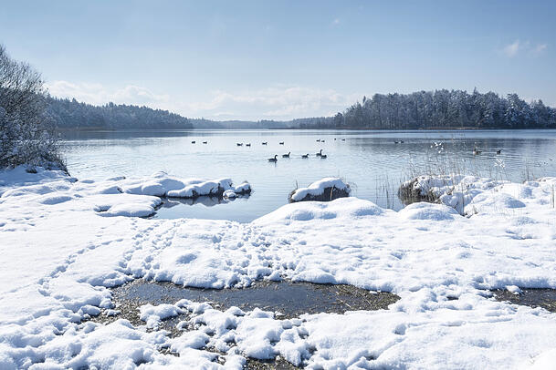 Die Osterseen sind bei Schnee magisch. Die Osterseen sind bei Schnee magisch.