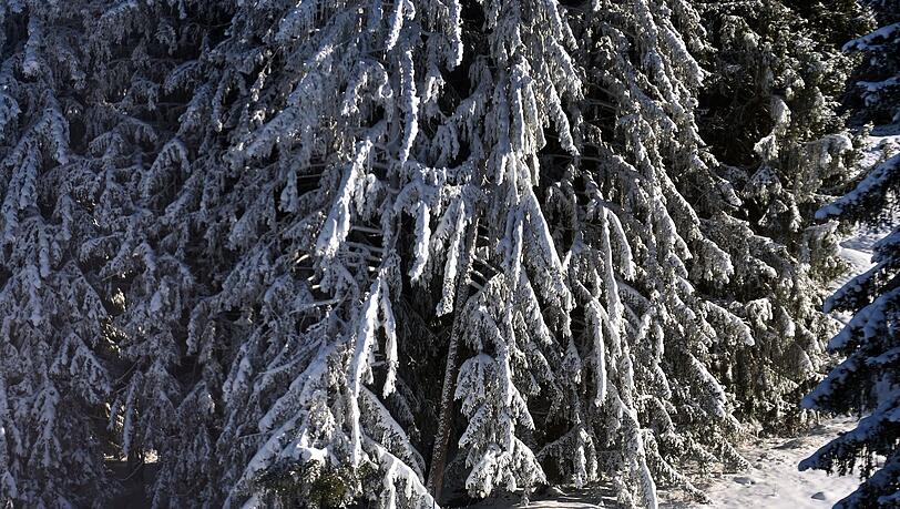 Die niedrigen Temperaturen samt Schneefall im Allgäu ließen zuletzt einen frühen Start in die Skisaison zu. (Archivbild)