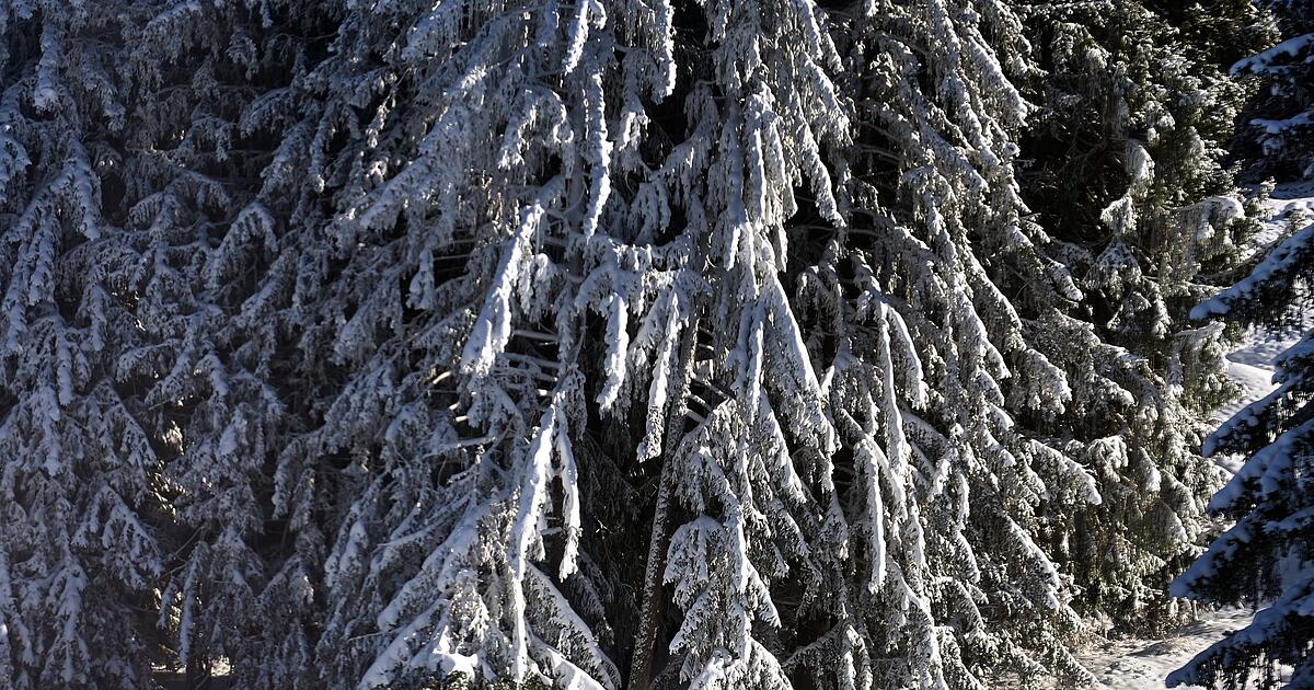 K-lteste-Herbst-Temperatur-bundesweit-in-Bayern-gemessen