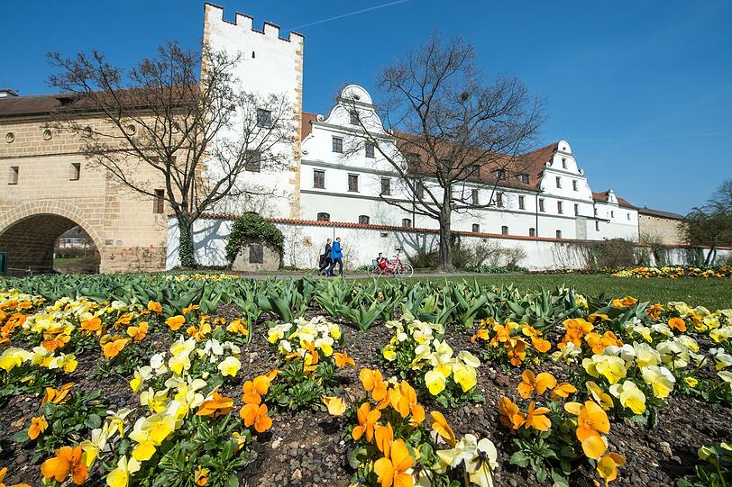 Auch in Amberg blühen bereits die Blumen wie dieses Bild aus der Altstadt von Amberg beweist.