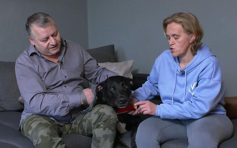 Ob bei Besuchern oder beim Spazieren drau&szlig;en: Labrador Socke h&auml;lt Falk und Katja ganz sch&ouml;n auf Trab.