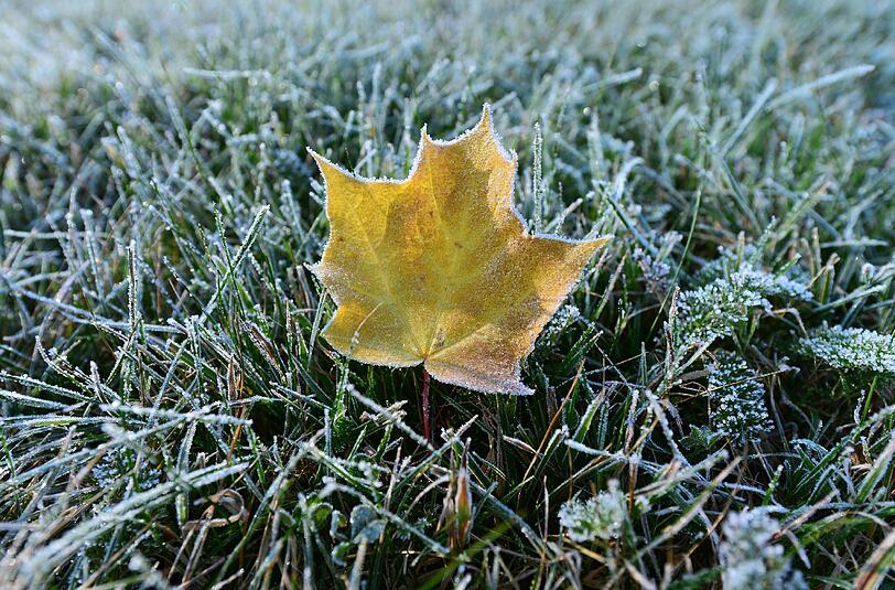 Deutschlandweit war die Nacht auf Montag sehr frisch. Die Temperaturen in Thüringen sind sogar auf fünf Grad unter Null gefallen.
