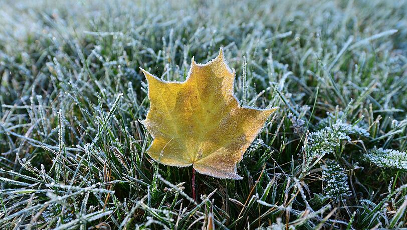 Deutschlandweit war die Nacht auf Montag sehr frisch. Die Temperaturen in Thüringen sind sogar auf fünf Grad unter Null gefallen. Deutschlandweit war die Nacht auf Montag sehr frisch. Die Temperaturen in Thüringen sind sogar auf fünf Grad unter Null gefallen.