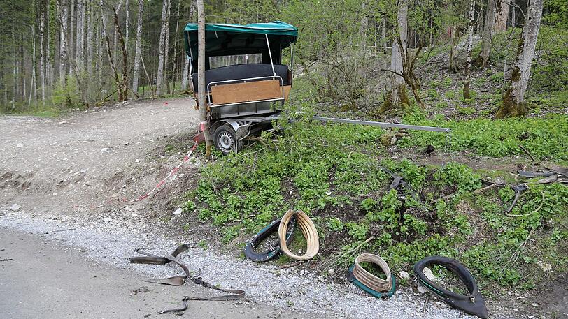 Am Schloss Neuschwanstein wurden bei einem schweren Unfall mit einer Pferdekutsche vier Menschen verletzt - die Fotos vom Unfallort...