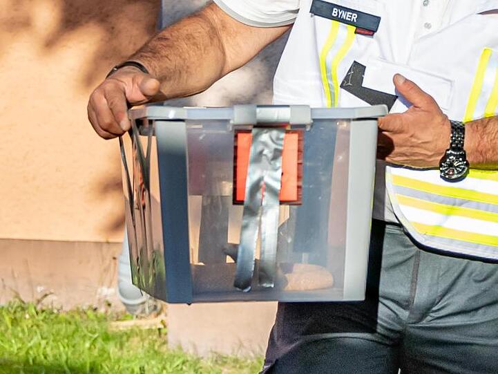Ein Reptilienexperte trägt die eingefangene Monokelkobra in einem Behälter aus einem Hauseingang.