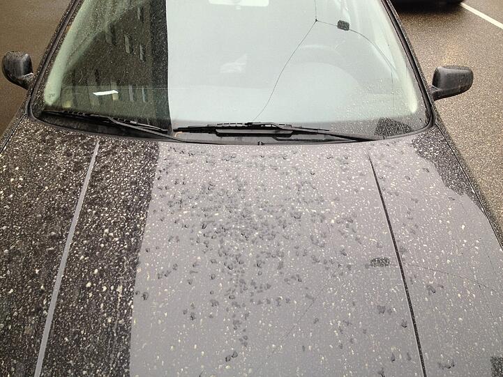 Sahara-Regen in München und im Umland im Februar 2014.