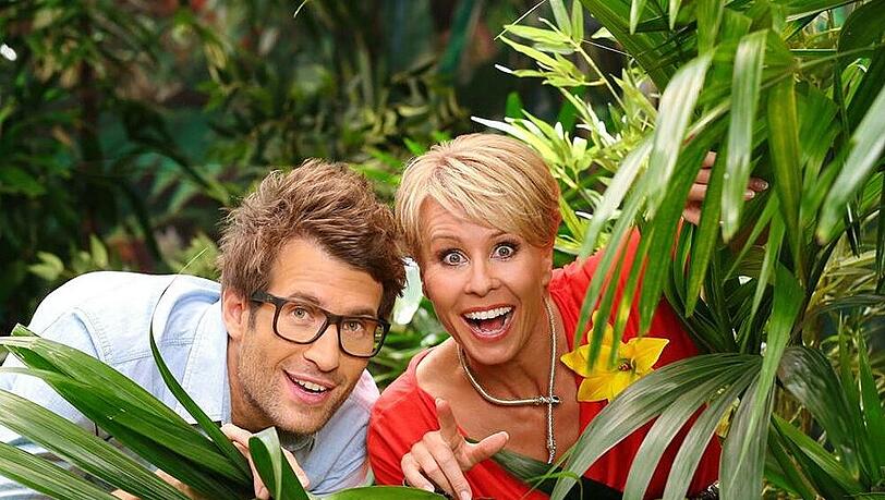 Die Moderatoren Sonja Zietlow und Daniel Hartwich stimmen im Interview mit "Punkt 12" auf die neue Staffel ein Die Moderatoren Sonja Zietlow und Daniel Hartwich stimmen im Interview mit "Punkt 12" auf die neue Staffel ein
