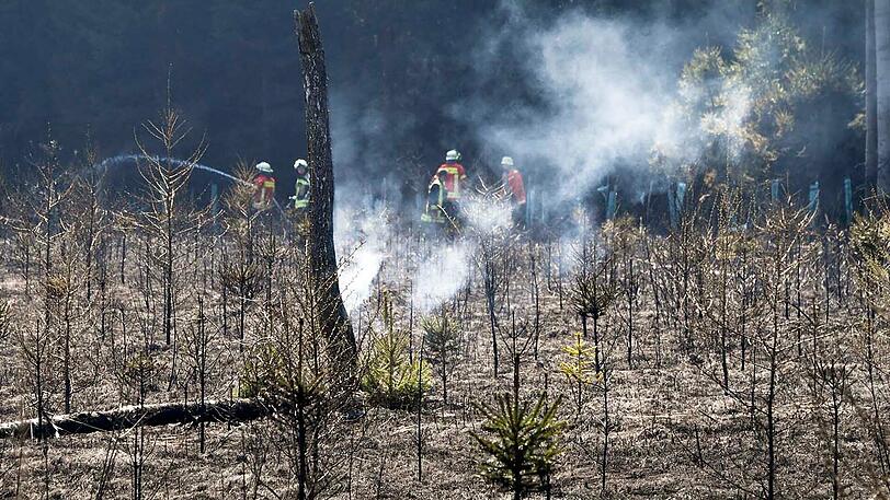 Insgesamt 110 FEuerwehrleute waren im Einsatz, nach einer Stunde waren die Flammen gelöscht.