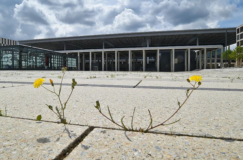 So langsam wächst Gras drüber: Wann der Berliner Hauptstadtflughafen fertig wird, steht in den Sternen.