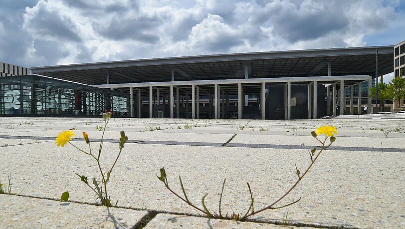 So langsam wächst Gras drüber: Wann der Berliner Hauptstadtflughafen fertig wird, steht in den Sternen. So langsam wächst Gras drüber: Wann der Berliner Hauptstadtflughafen fertig wird, steht in den Sternen.