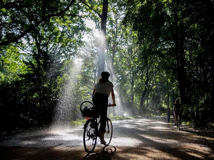 Wohl dem, der ein bisschen Kühlung abbekommt: Wassersprenger im Berliner Tiergarten.