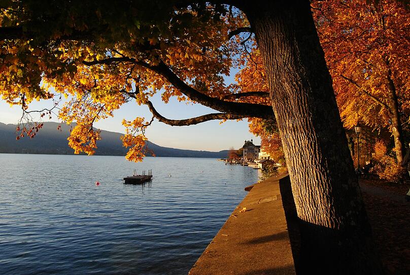 Entspannt am Tegernsee: Im Internet wird dagegen um die Idylle mit harten Bandagen gekämpft.