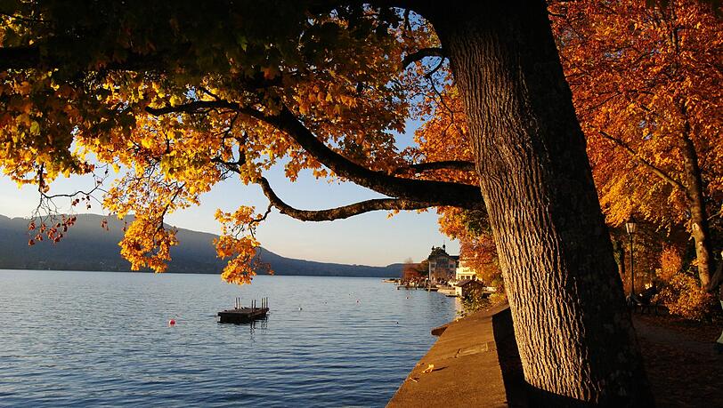 Entspannt am Tegernsee: Im Internet wird dagegen um die Idylle mit harten Bandagen gekämpft. Entspannt am Tegernsee: Im Internet wird dagegen um die Idylle mit harten Bandagen gekämpft.