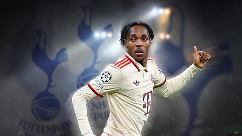 Mathys Tel spielt (vorerst) bis Saisonende für Tottenham Hotspur. Die Londoner sicherten sich eine Kaufoption, eine Rückkehr nach München wird somit unwahrscheinlicher.