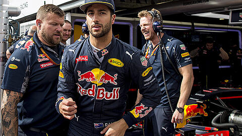 Zufriedene Gesichter: Daniel Ricciardo (Mitte) und Teamkollegen.