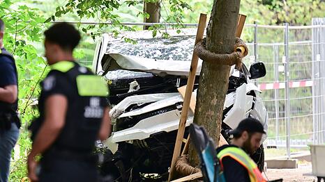 Bei seinem Anschlag im Berliner Tiergarten verwendete der Islamist Abdul B. einen gemieteten Van (Archivbild)