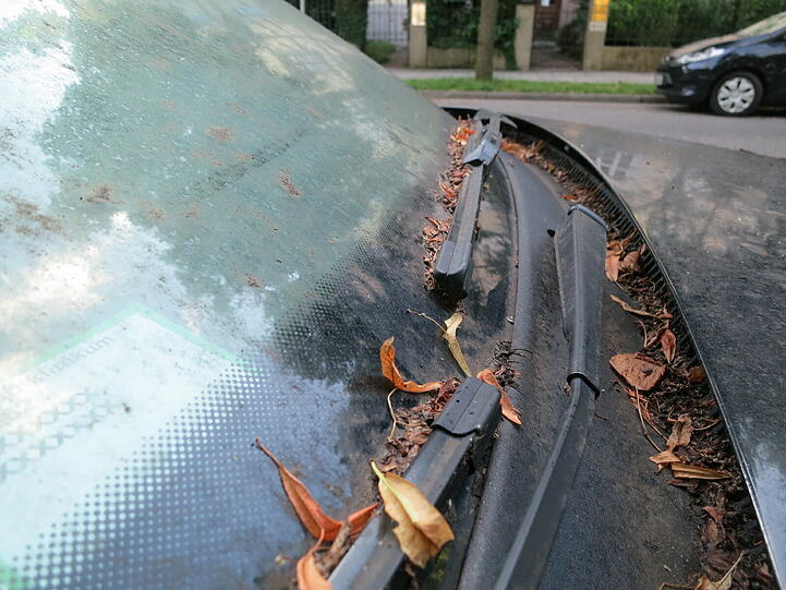 Dem VW Passat ist links die Luft ausgegangen. Und auch sonst hat er in den letzten Monaten einiges einstecken müssen...