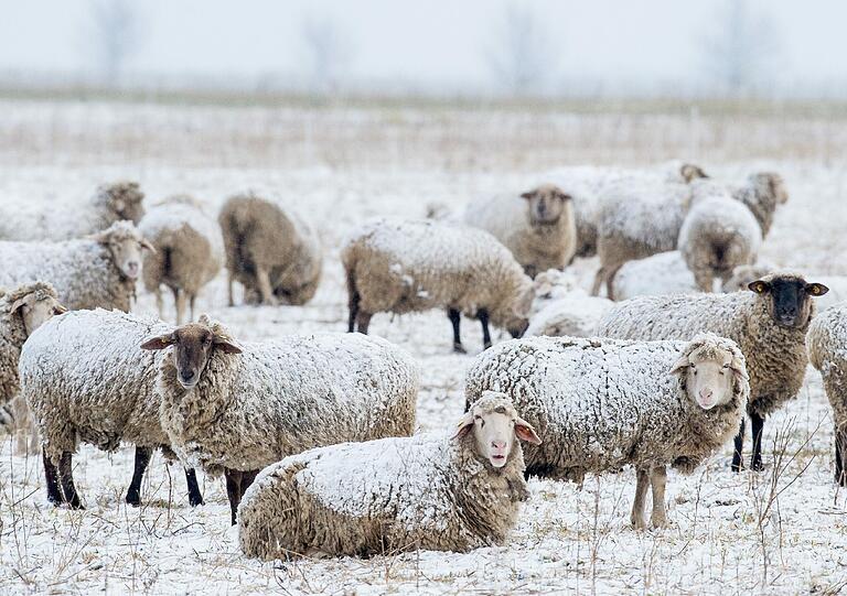 Wintereinbruch in Bayern am meteorologischen Frühlingsanfang.
