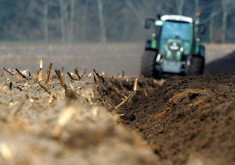 Traktor auf dem Feld (Symbolbild).
