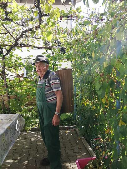 Wilhelm Maurer bei der Lese im Garten direkt vor der Haustür. Wilhelm Maurer bei der Lese im Garten direkt vor der Haustür.